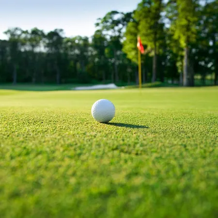 Sous La Houlette, 3 Suites, Pool And Sauna On Demand Bed & Breakfast