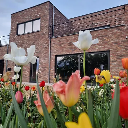 Sous La Houlette, 3 Suites, Pool And Sauna On Demand 4*