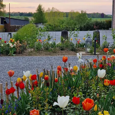 Sous La Houlette, 3 Suites, Pool And Sauna On Demand