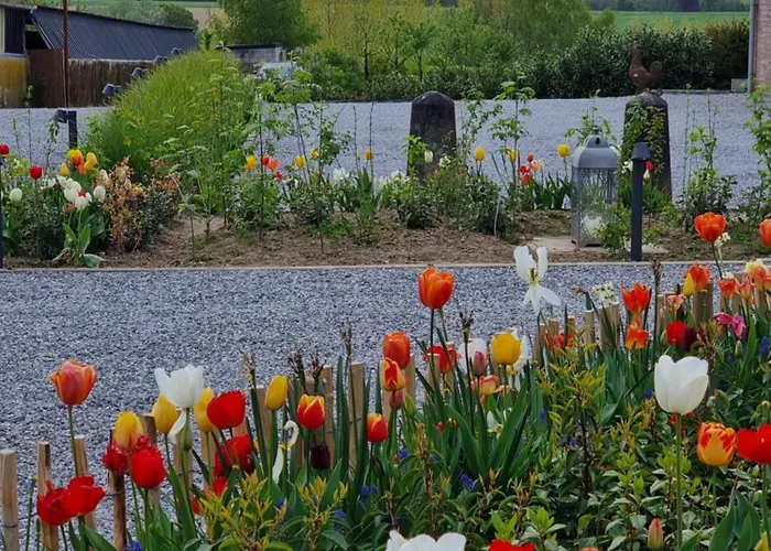 Sous La Houlette, 3 Suites, Pool And Sauna On Demand